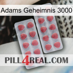 Adams Secret 3000 19